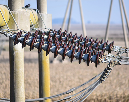 Suspension Insulator